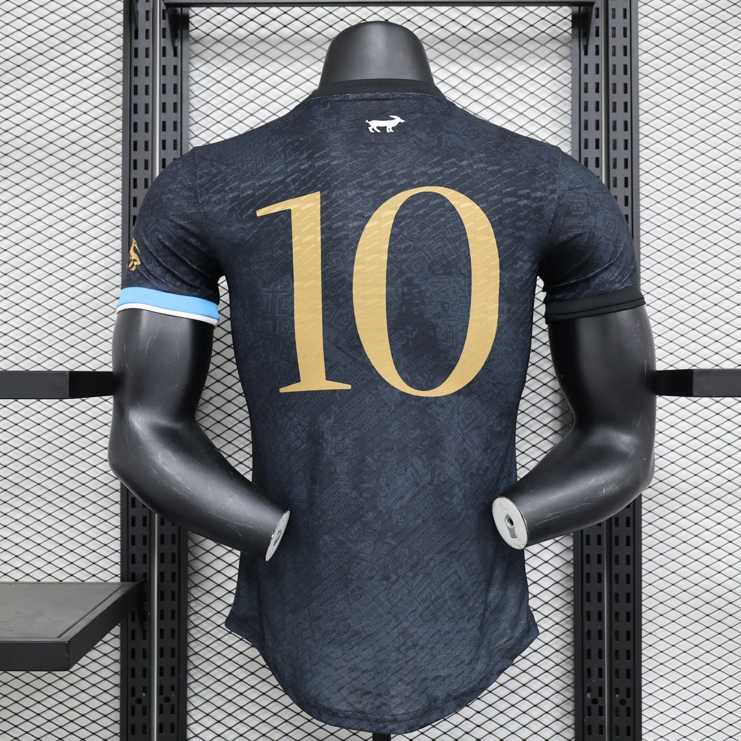 Argentina 23/24 Special Edition Messi Kit