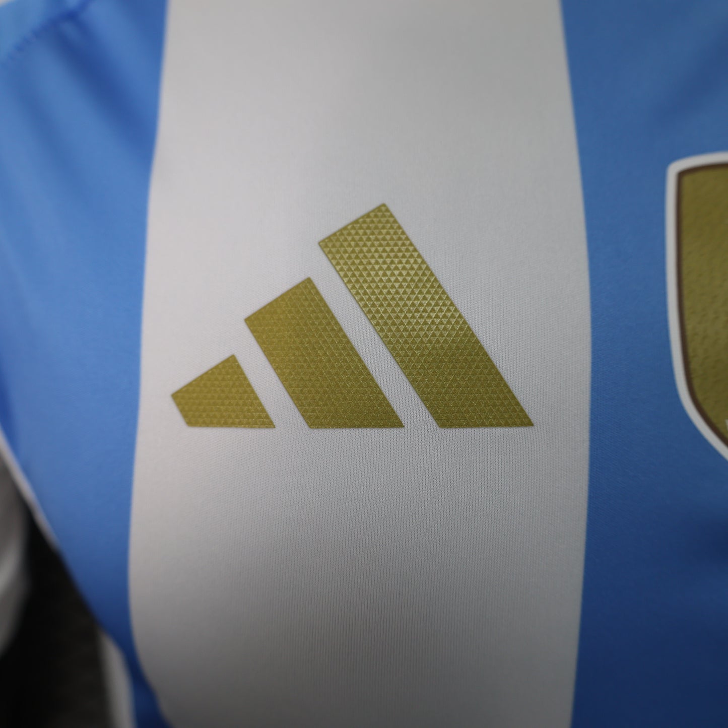 Adidas Argentina 2024/25 Home Jersey